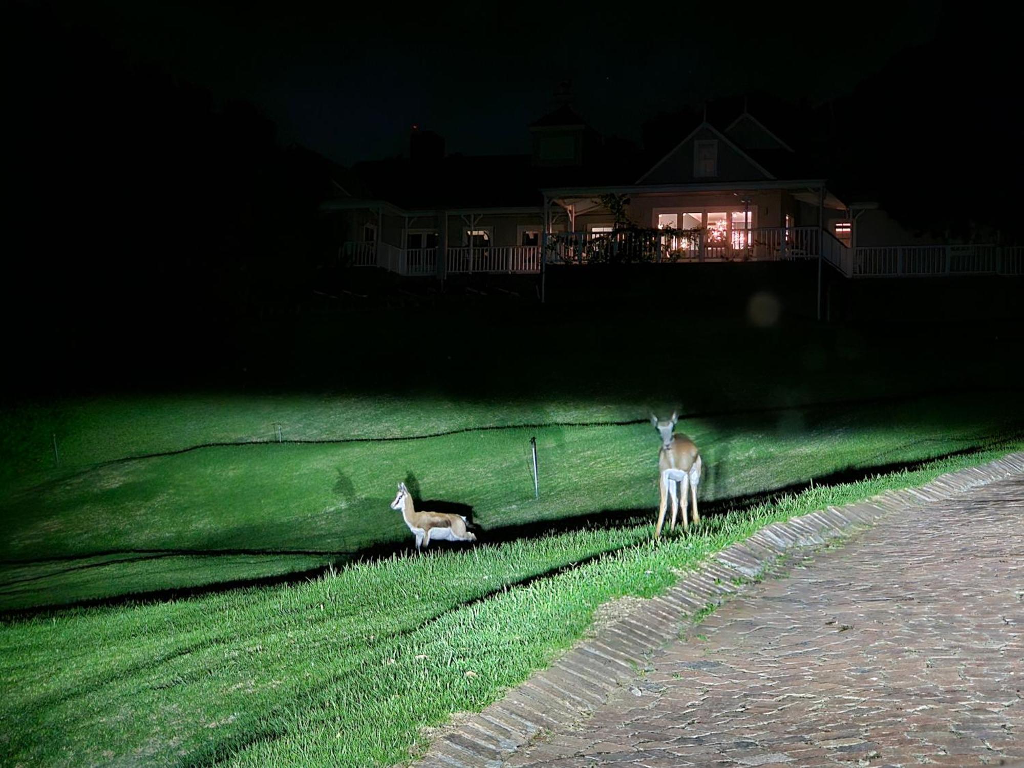 Die Heerenhuys Guest Suites ステレンボッシュ エクステリア 写真